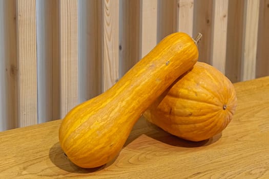 Two squash vegetables at shelf decor