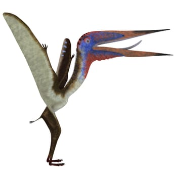 Zhejiangopterus was a carnivorous pterosaur dinosaur that lived in China during the Cretaceous Period.