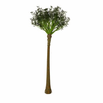 Wattieza was a genus of prehistoric trees that existed in the mid-Devonian that belong to the cladoxylopsids, close relatives of the modern ferns and horsetails.