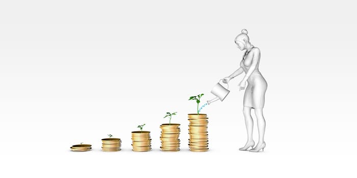 Growing Money Plant on Coins Financial Investment Concept