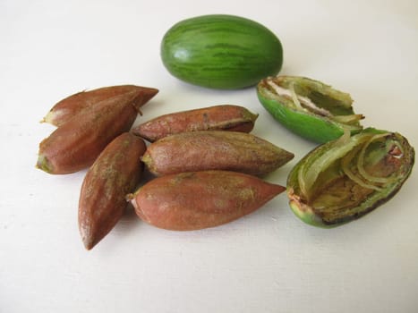 Nuts from the Japanese torreya, Torreya nucifera