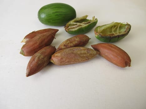Nuts from the Japanese torreya, Torreya nucifera