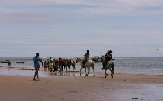porto seguro, bahia / brazil - march 19, 2010: Horses used for sightseeing in Porto Seguro city beach.