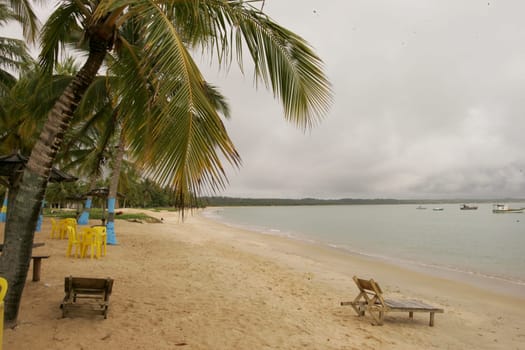 santa cruz cabralia, bahia / brazil - december 13, 2010: coconut trees are seen on Coroa Vermelha beach in the city of Santa Cruz Cabralia, in southern Bahia.