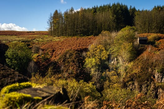 Autumn coloured trees in the valley of Glenariff Forest Park with waterfall and wooden shelter, Count Antrim, Northern Ireland