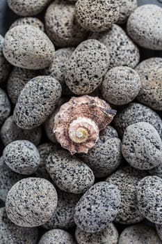 Natural lava stones with seashell as background.