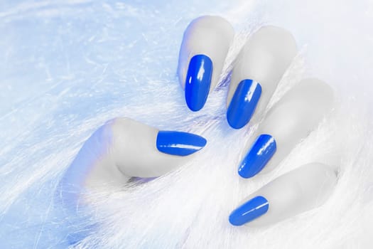 White female hand with blue nails is in fur texture, manicure and nail care concept.