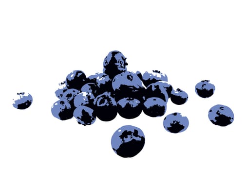 Blueberry isolated on white background. Blueberries are perennial flowering plants with blue or purple berries