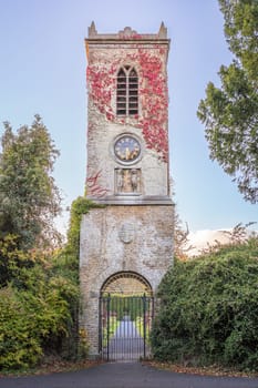 Old, vintage brick clocktower with red ivy, surrounded by green bushes or hedges in St Annes Park, Dublin, Ireland