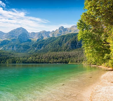 View of lake Tovel, Trentino, Italy. Coastline and mountains on a sunny day in summer