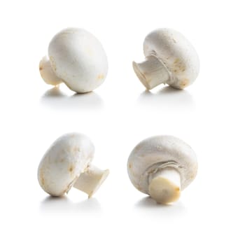 Fresh white champignon mushrooms isolated on white background.