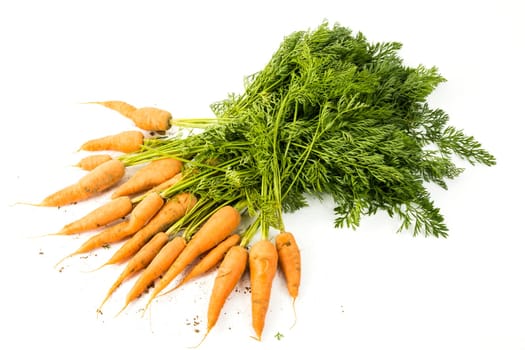 bunch of carrots on white background