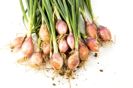 onions