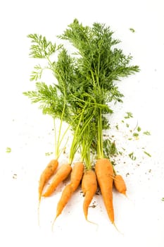 bunch of carrots on white background