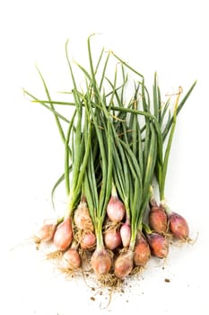 onions