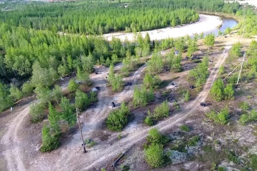 Car tires of wheels lie in the forest. View from above.