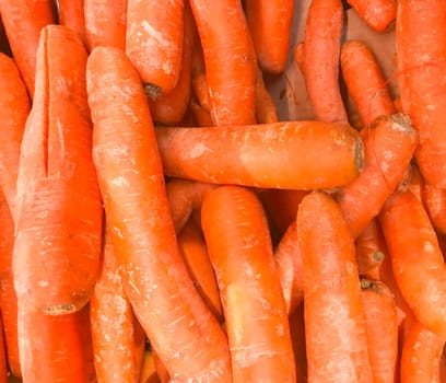 Close-Up Of Fresh Carrots. Healthy Fresh Food Background.