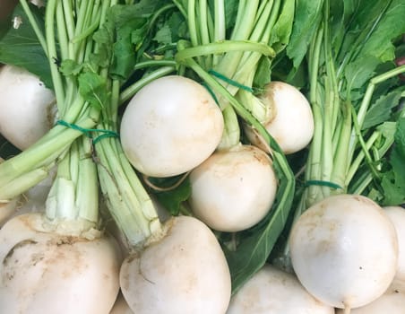 Close-Up Of White Radish. Healthy Fresh Food Background.