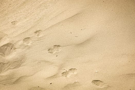 Photo Of Sand Background Texture