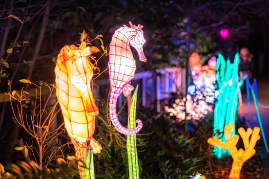 Dublin, Ireland, November 2018 Wild lights at Dublin zoo. Light displays of Ocean Lights, the Arctic and the North Pole themes