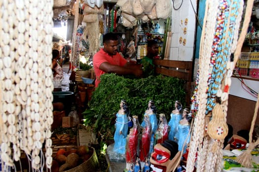 VENDA DE PRODUTOS PARA BANHOS ESPIRITUAIS.Eduardo dos Santos, 33, microempresário, compra folha para limpeza da casa e para banho espiritual, na Feira de São Joaquim, em Salvador (BA)..Foto: Joá Souza/ Ag. A TARDE.Data: 31/12/2013.