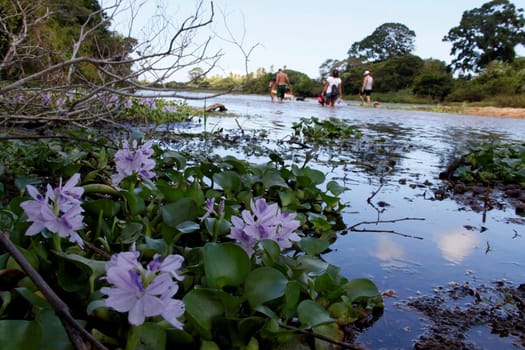 conde, bahia / brazil - march 27, 2013: view of the Itapicuru River bed in the city of Conde..