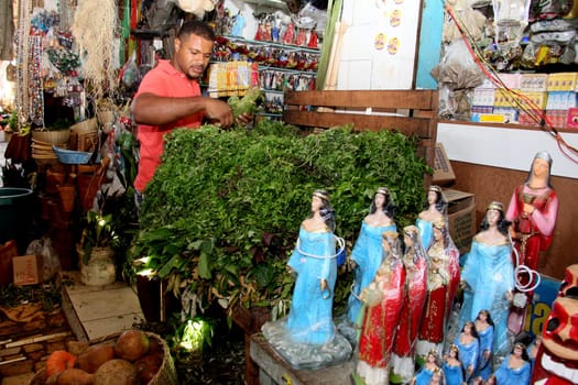 VENDA DE PRODUTOS PARA BANHOS ESPIRITUAIS.Eduardo dos Santos, 33, microempresário, compra folha para limpeza da casa e para banho espiritual, na Feira de São Joaquim, em Salvador (BA)..Foto: Joá Souza/ Ag. A TARDE.Data: 31/12/2013.