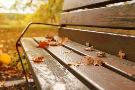 yellow autumn leaves on a wooden bench in the city park