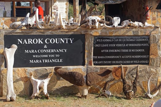 Narok, Kenya - July 12, 2017: Mara conservancy in Narok county Kenya.