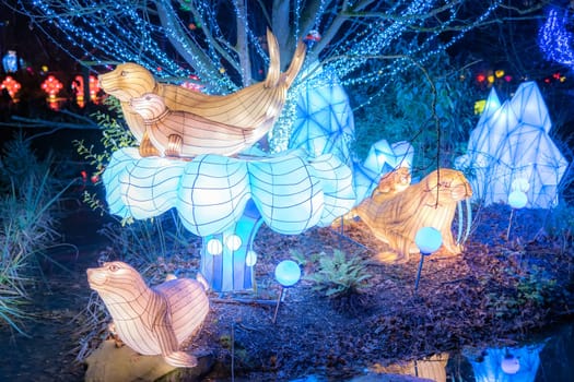 Dublin, Ireland, November 2018 Wild lights at Dublin zoo. Light displays of Ocean Lights, the Arctic and the North Pole themes