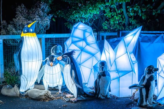 Dublin, Ireland, November 2018 Wild lights at Dublin zoo. Light displays of Ocean Lights, the Arctic and the North Pole themes