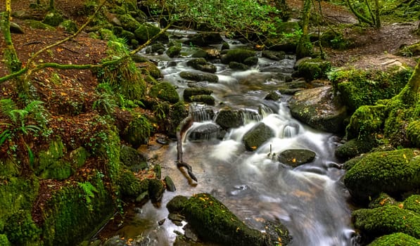 Kennall river in Kennall Vale Nature Reserve, Ponsanooth, Cornwall, United Kingdom