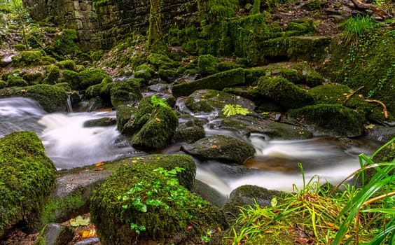 Kennall river in Kennall Vale Nature Reserve, Ponsanooth, Cornwall, United Kingdom