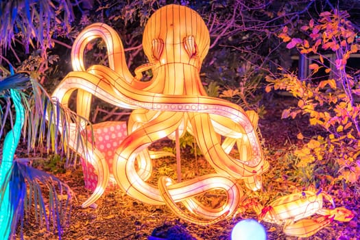 Dublin, Ireland, November 2018 Wild lights at Dublin zoo. Light displays of Ocean Lights, the Arctic and the North Pole themes