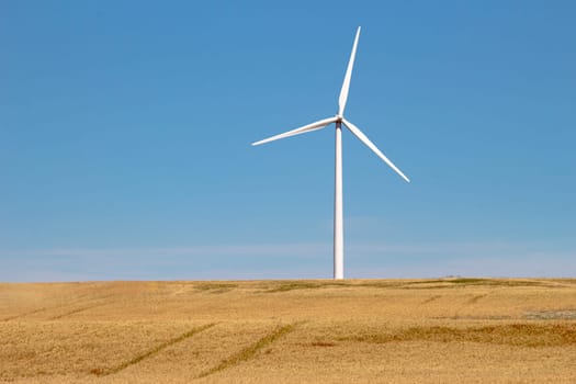 A wind tower turbine electricity gererator, renewable energy source on a farm field.