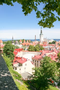 Tallinn Landmark. View of the old town from a hill