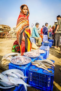 Chittagong, Bangladesh, December 23, 2017: Woman is selling fish from the morning catch at the fish market in Chittagong