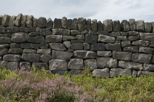 5 - Many various sizes of stones or bricks make up this dry stone wall. Simple background texture with peak district heather and plants in foreground