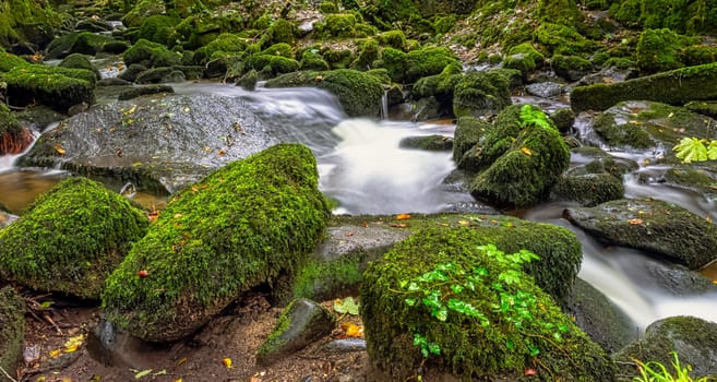 Kennall river in Kennall Vale Nature Reserve, Ponsanooth, Cornwall, United Kingdom