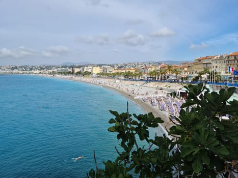 Nice, France - August 18, 2020: Fig Tree By The Mediterranean Sea, Beaches Of Promenade Des Anglais, Panorama Of Nice On The French Riviera, France, Europe