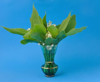 lily of the valley