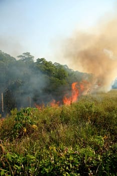 santa cruz cabralia - november 10, 2008: Fire destroys vegetation in environmental protection area is seen in Santo Andre district.
