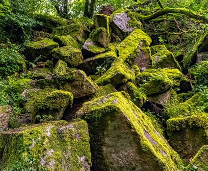 Kennall river in Kennall Vale Nature Reserve, Ponsanooth, Cornwall, United Kingdom