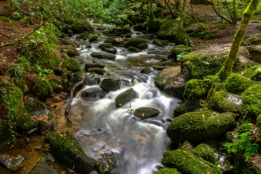 Kennall river in Kennall Vale Nature Reserve, Ponsanooth, Cornwall, United Kingdom