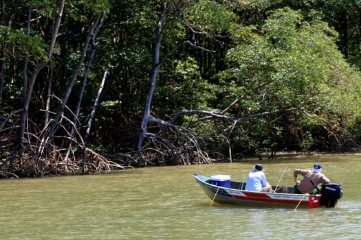 prado, bahia / brazil - september 11, 2008: mangrove is seen at the mouth of the Rio Jucurucu in the city of Prado..