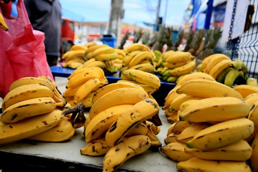 salvador, bahia / brazil - september 11, 2020: bananas fruits are seen for sale on the street in the city of Salvador..