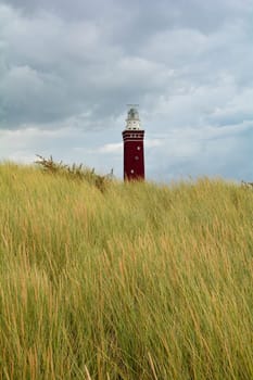 The 56 meter high angular "West Head Lighthouse"" in Ouddorp in the Netherlands, on Zeeland in Europe, with beach grass in the foreground"
