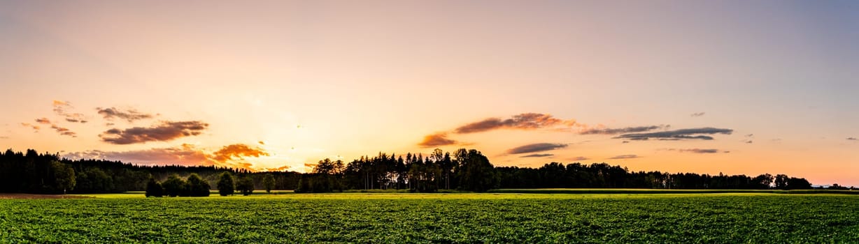 Sky panorama during sunset over forest with pastel colors sky and colorful clouds. Nature background