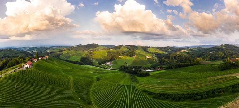 South styria vineyards aerial panorama landscape, near Gamlitz, Austria, Eckberg, Europe. Grape hills view from wine road in spring. Tourist destination, travel spot.
