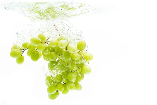Fresh green grapes in water against white background. Health concept.